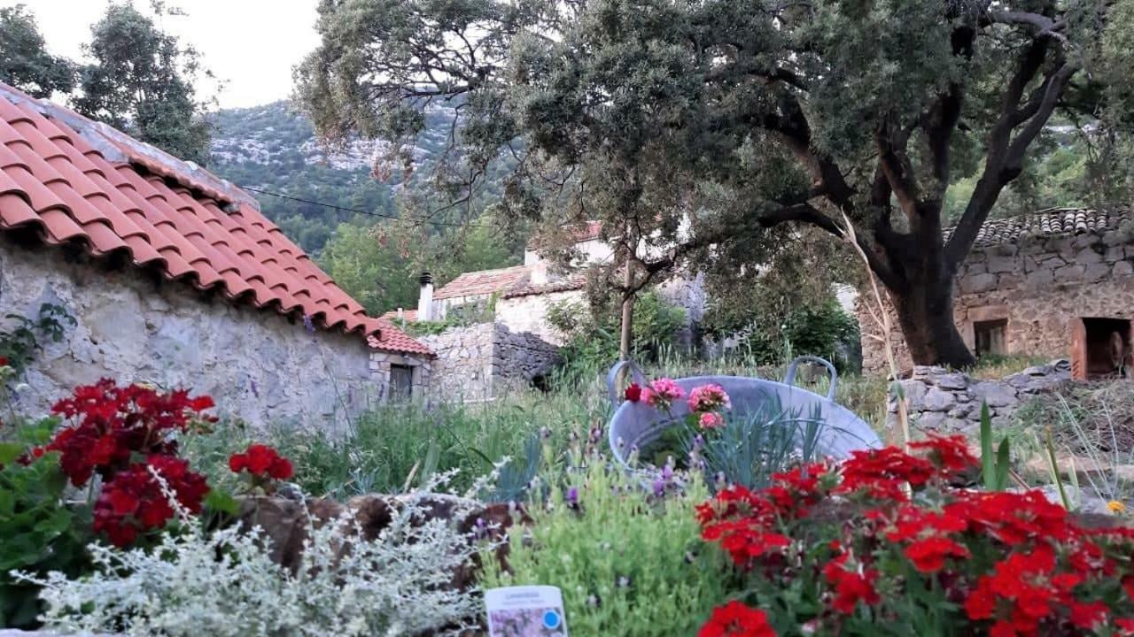 Countryside Vacation House Vitez Babino Polje Kültér fotó